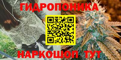 гашишное масло Лесосибирск
