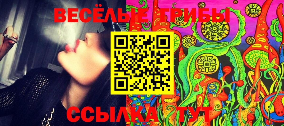 Псилоцибиновые грибы Psilocybine cubensis Волгодонск